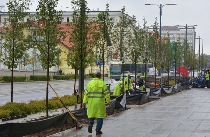 Śródmieście się zieleni